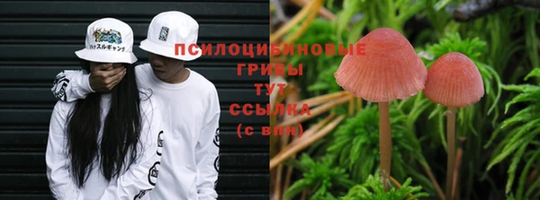 МДМА Пересвет