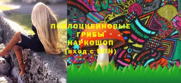мдпв Пестово