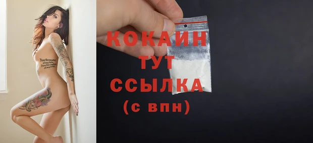 индика Переславль-Залесский