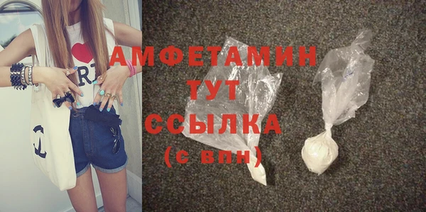 мдпв Пестово