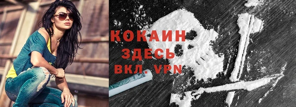 мдпв Пестово