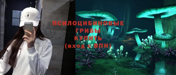 индика Переславль-Залесский