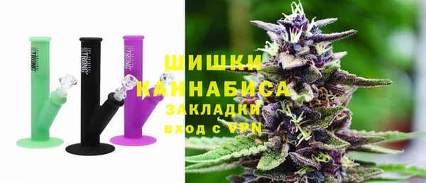 мдпв Пестово